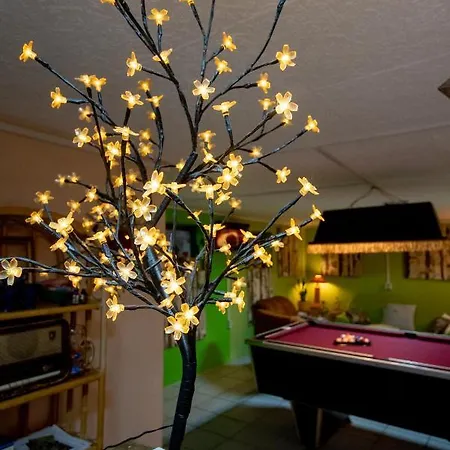 Mandala Panzio Bed & Breakfast *